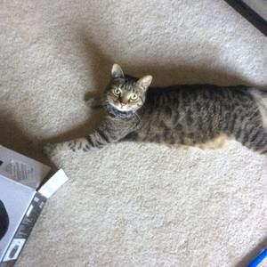 Meet your Posher, Lexee